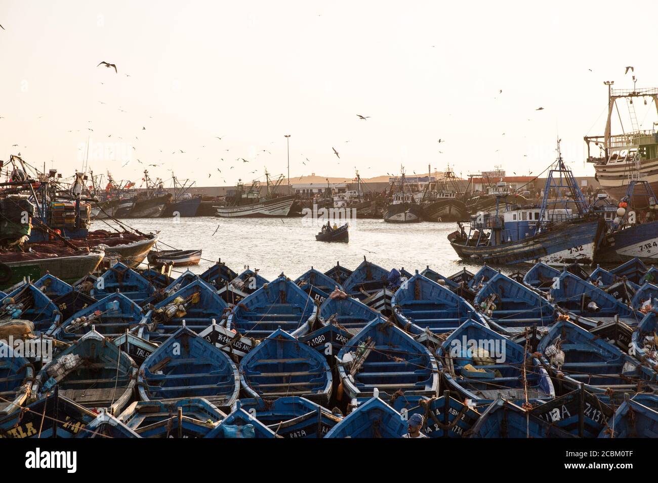 Vue panoramique sur les petits bateaux de pêche amarrés dans le port, Essauira, Maroc Banque D'Images