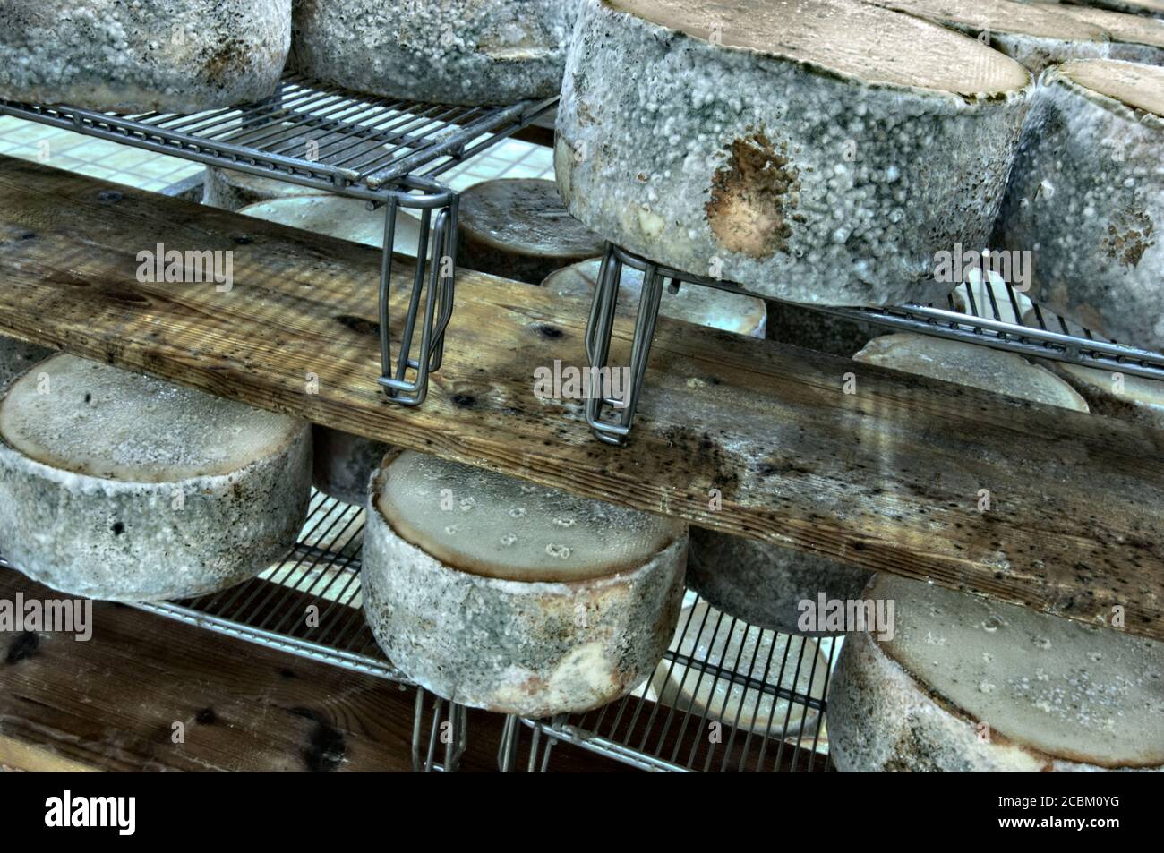 Production de fromage Fiore Sardo, Sardaigne, Italie Banque D'Images