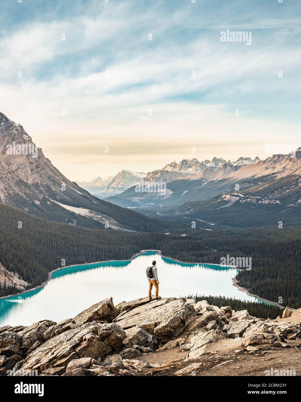 Homme debout, regardant le point de vue, surplombant le lac Peyto, Lake Louise, Alberta, Canada Banque D'Images