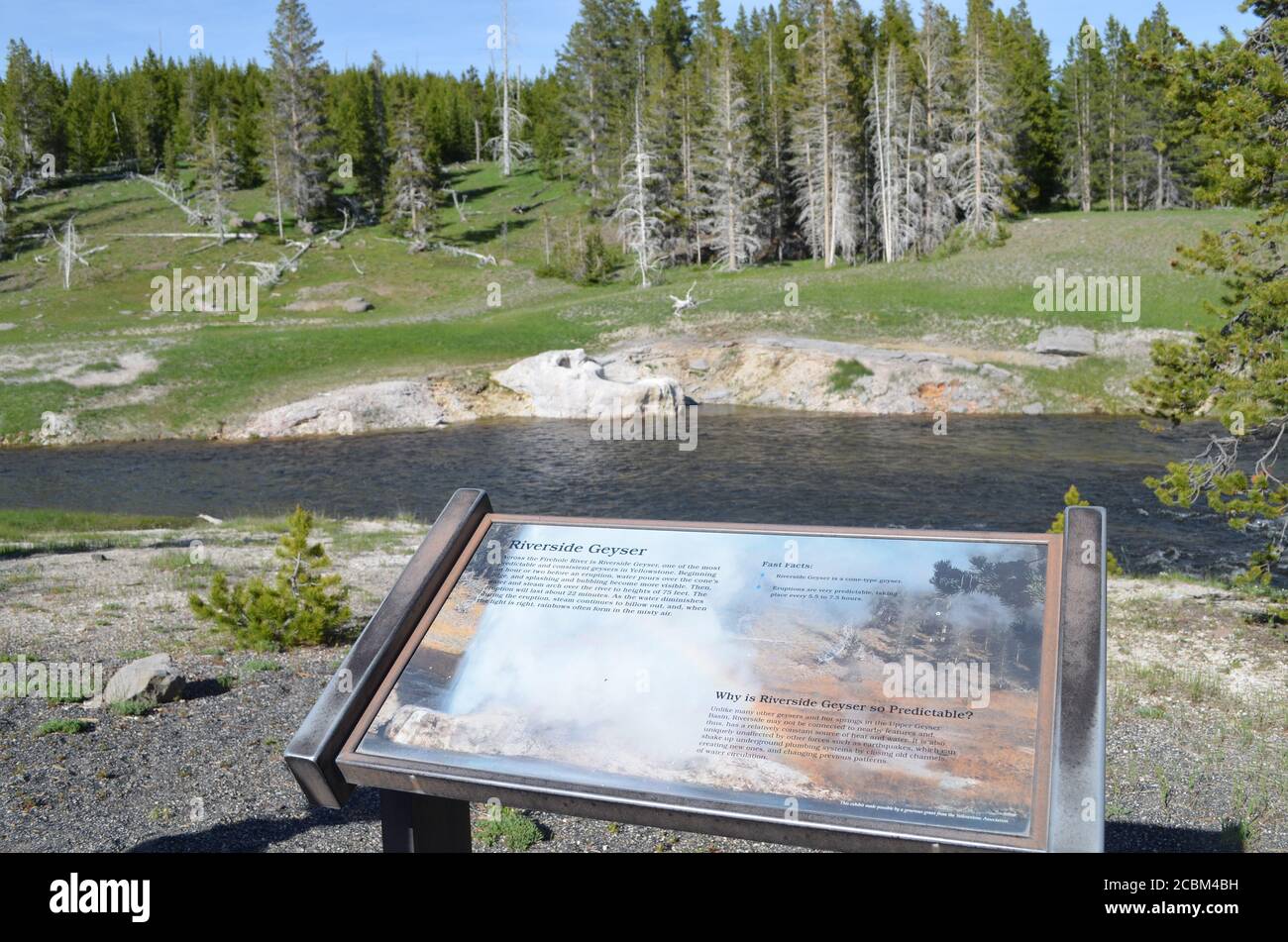 PARC NATIONAL DE YELLOWSTONE, WYOMING - le 8 JUIN 2017 : geyser de la rivière Riverside du groupe Grotto le long de la rivière Firehole dans le bassin supérieur de Geyser Banque D'Images