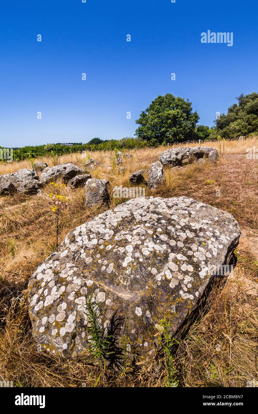 Site fouillé d'important Dolmen du Prédaire - Pornic, Loire-Atlantique, France. Banque D'Images