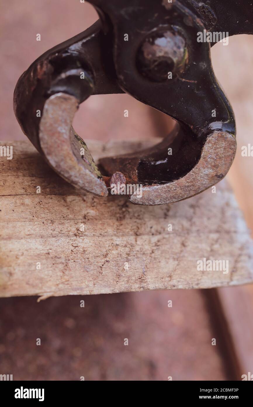 une pince sur un fond en bois Banque D'Images