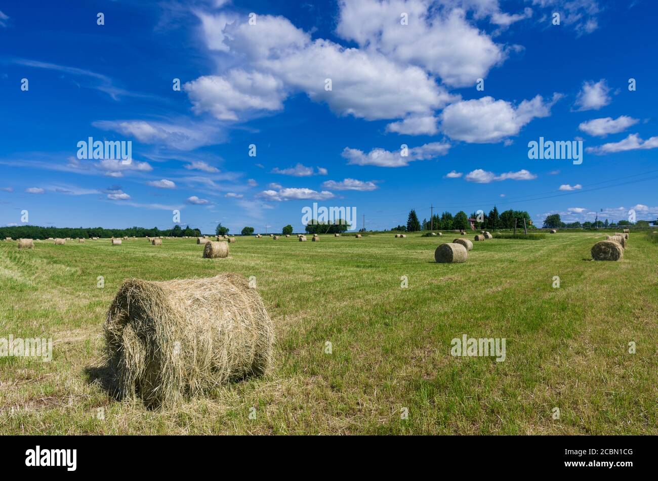 Cloudscape avec champ vert et rouleaux de foin en été Banque D'Images