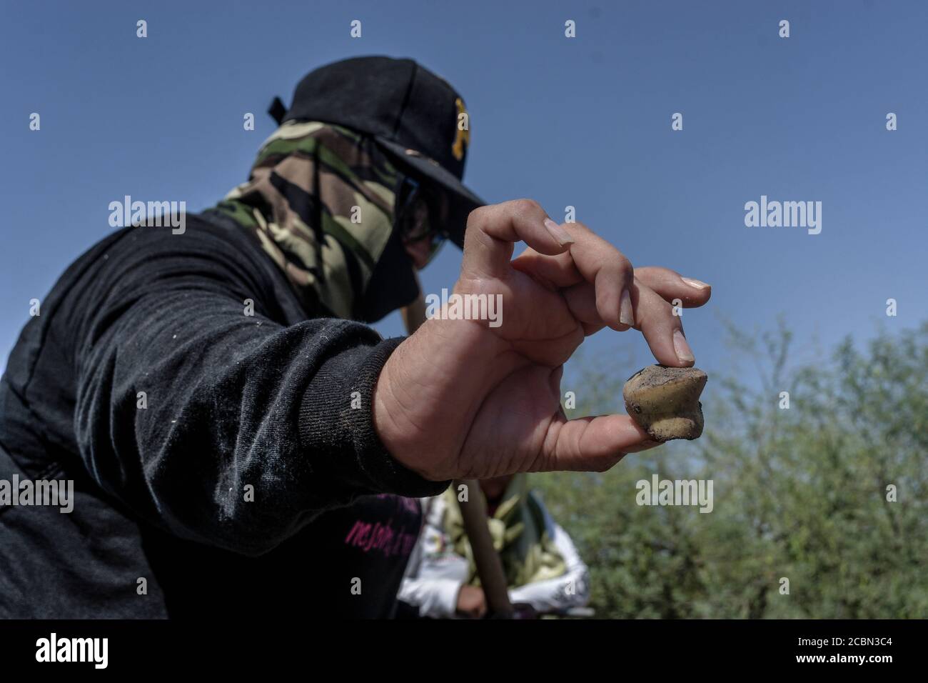 Les femmes mères des enfants disparus du groupe Guerreras Buscadoras de Sonora trouvent ce qui semble être des restes humains charrés dans les environs d'El Henequén le 13 août 2020 à Ciudad Obregon, Sonora. (Photo par Carlos Baro / NortePhoto) Banque D'Images