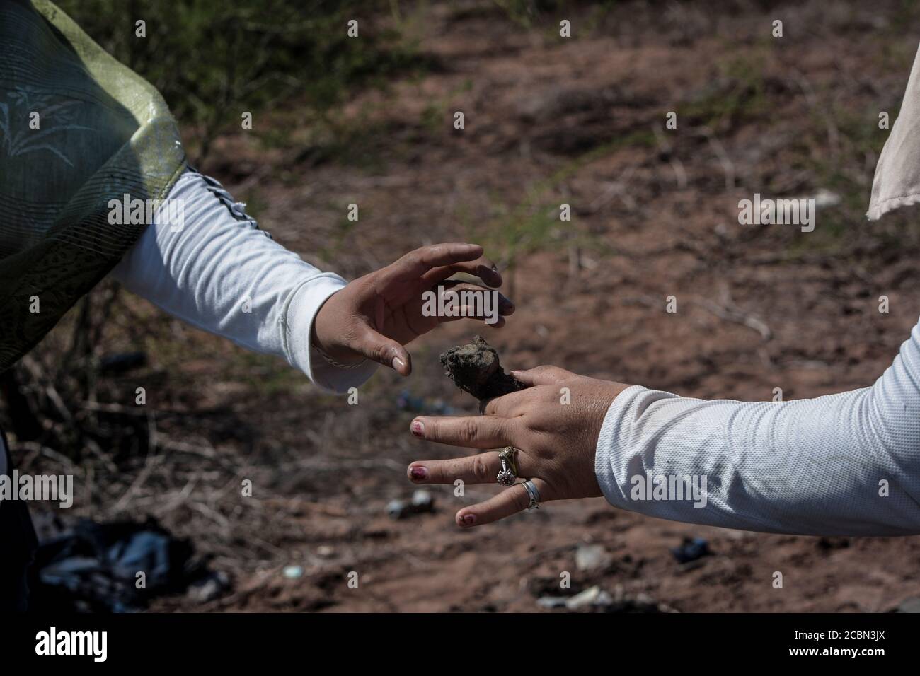 Les femmes mères des enfants disparus du groupe Guerreras Buscadoras de Sonora trouvent ce qui semble être des restes humains charrés dans les environs d'El Henequén le 13 août 2020 à Ciudad Obregon, Sonora. (Photo par Carlos Baro / NortePhoto) Banque D'Images