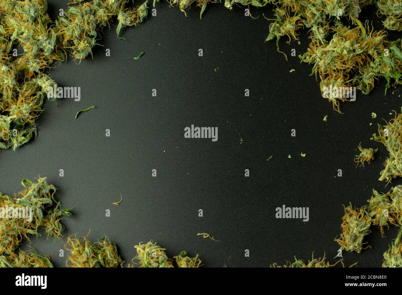 Les boutons de fleurs de cannabis reposent sur un fond plat avec un espace de copie Banque D'Images