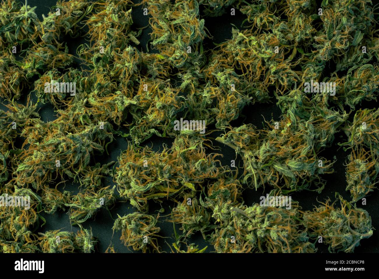 Texture cannabis vue de dessus en gros plan. Copier l'espace sur la marijuana Banque D'Images