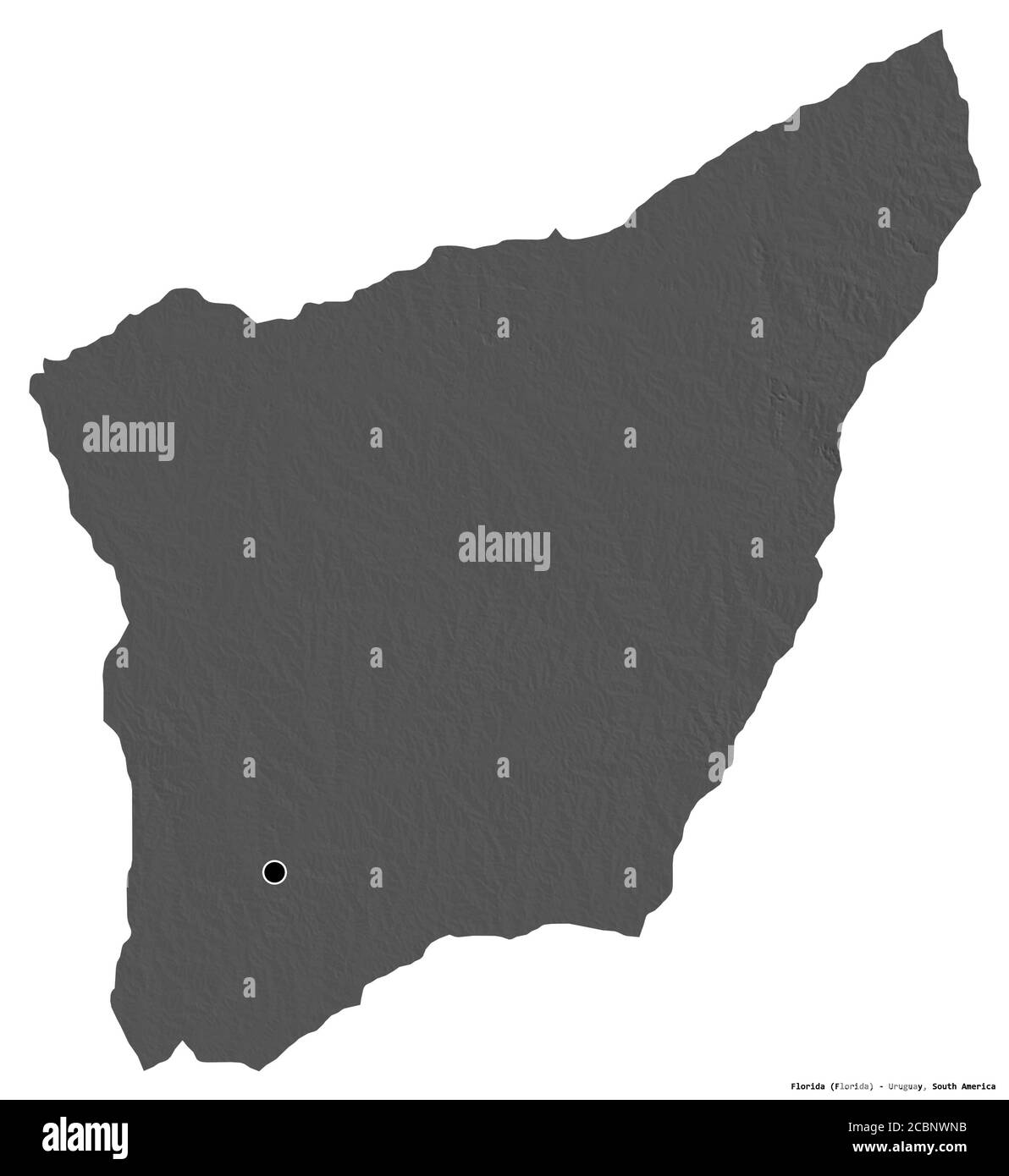Forme de la Floride, département de l'Uruguay, avec sa capitale isolée sur fond blanc. Carte d'élévation à deux niveaux. Rendu 3D Banque D'Images Forme de la Floride, département de l'Uruguay, avec sa capitale isolée sur fond blanc. Carte d'élévation à deux niveaux. Rendu 3D Banque D'Images