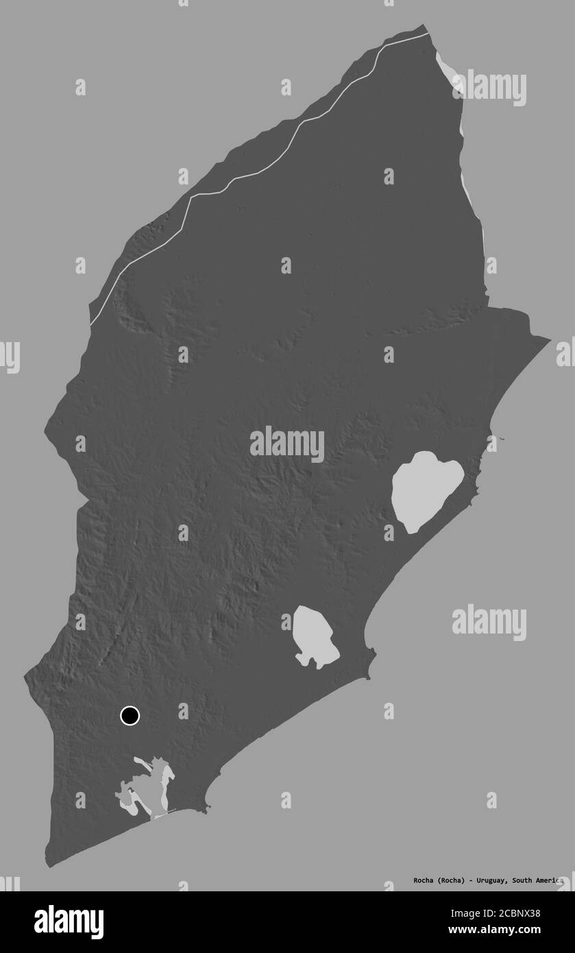 Forme de Rocha, département de l'Uruguay, avec sa capitale isolée sur un fond de couleur unie. Carte d'élévation à deux niveaux. Rendu 3D Banque D'Images