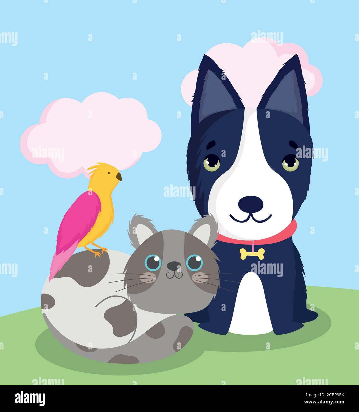 Animalerie Chat De Chien Noir Et Animaux D Oiseau Dessin Anime National Illustration Vectorielle Image Vectorielle Stock Alamy