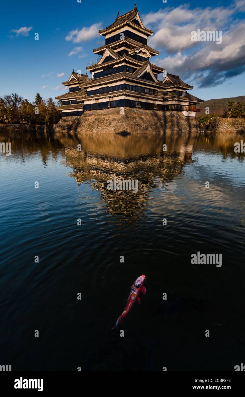 Lumière dorée coucher de soleil reflet paysage au château de Matsumoto en hiver. Point de repère à Matsumoto, Nagano, Japon. Banque D'Images