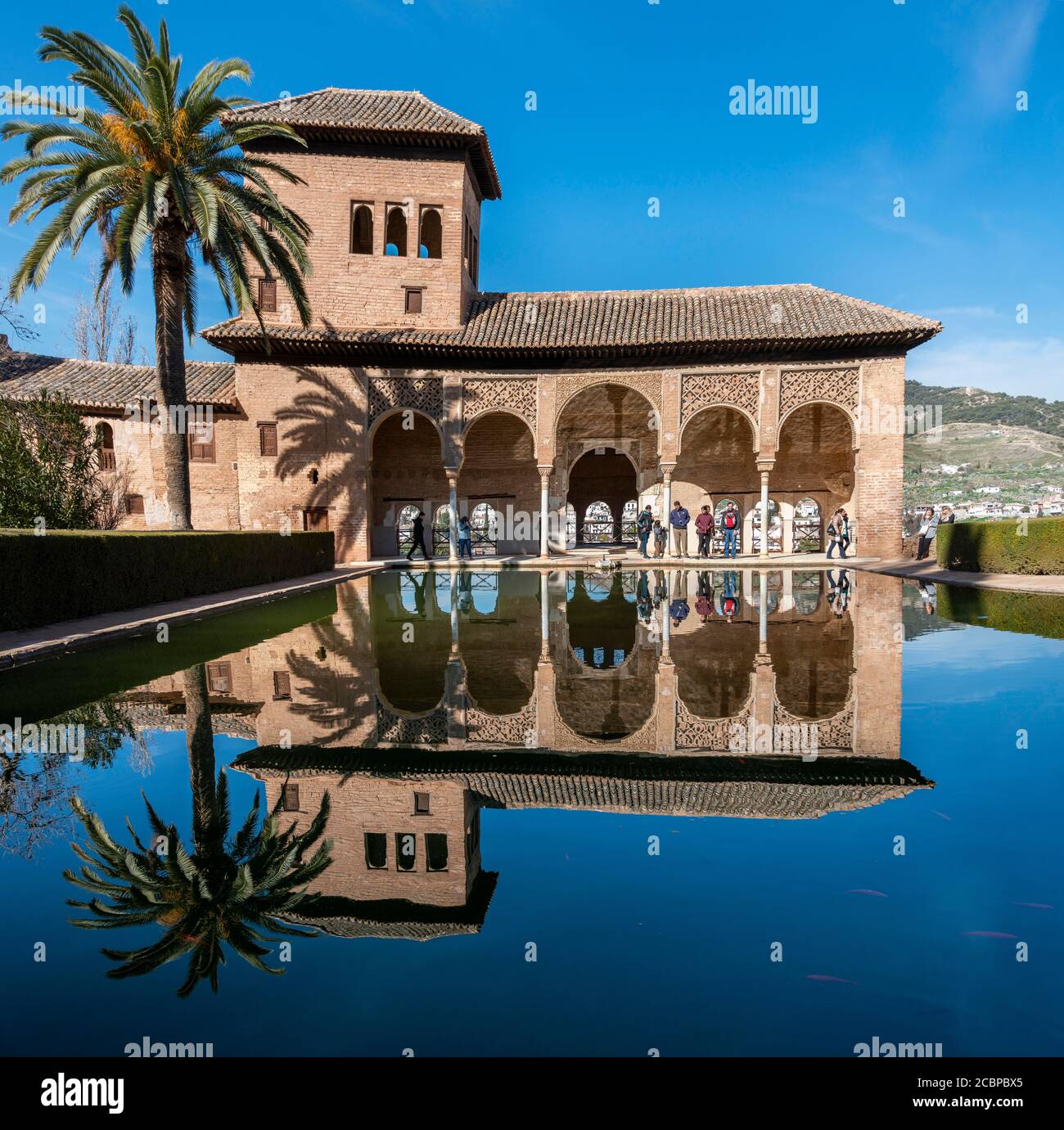 Bâtiment historique El Partal avec piscine et palmiers, Alhambra, château de la ville sur la colline de Sabikah, Grenade, Andalousie, Espagne Banque D'Images