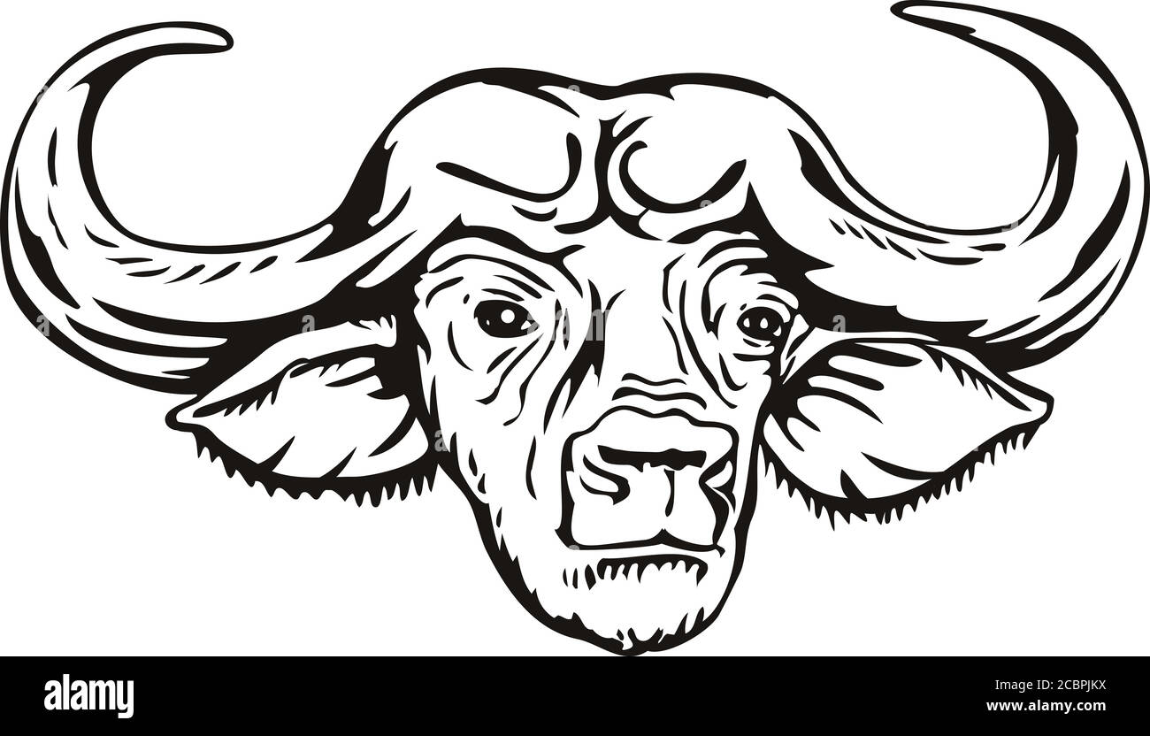 Illustration de style rétro avec coupe de bois d'un buffle africain ou d'un buffle du Cap Syncerus caffer, un gros bovin africain sub-saharien, vu de l'avant Illustration de Vecteur