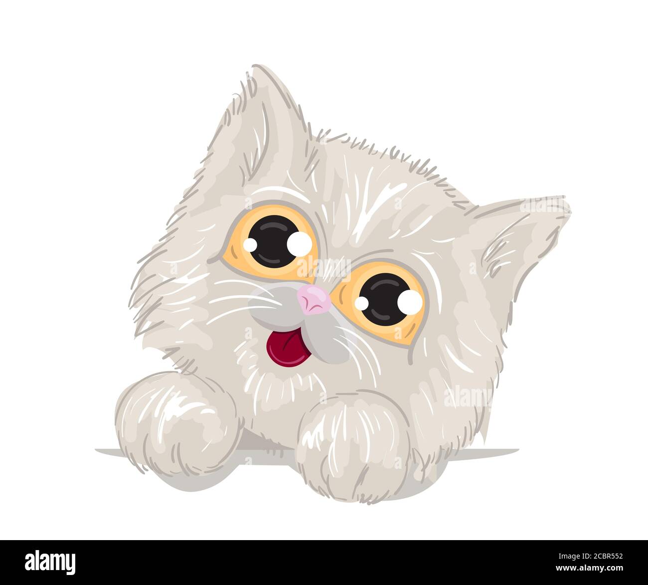 Chat Persan A Imprimer Banque De Photographies Et D Images A Haute Resolution Alamy