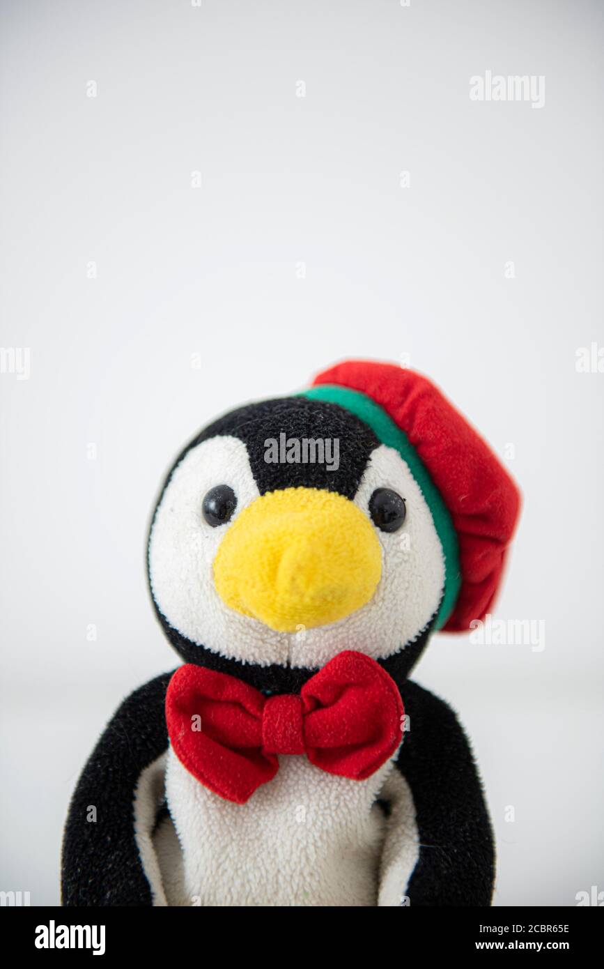 Dead Penguin Banque d'image et photos - Page 2 - Alamy