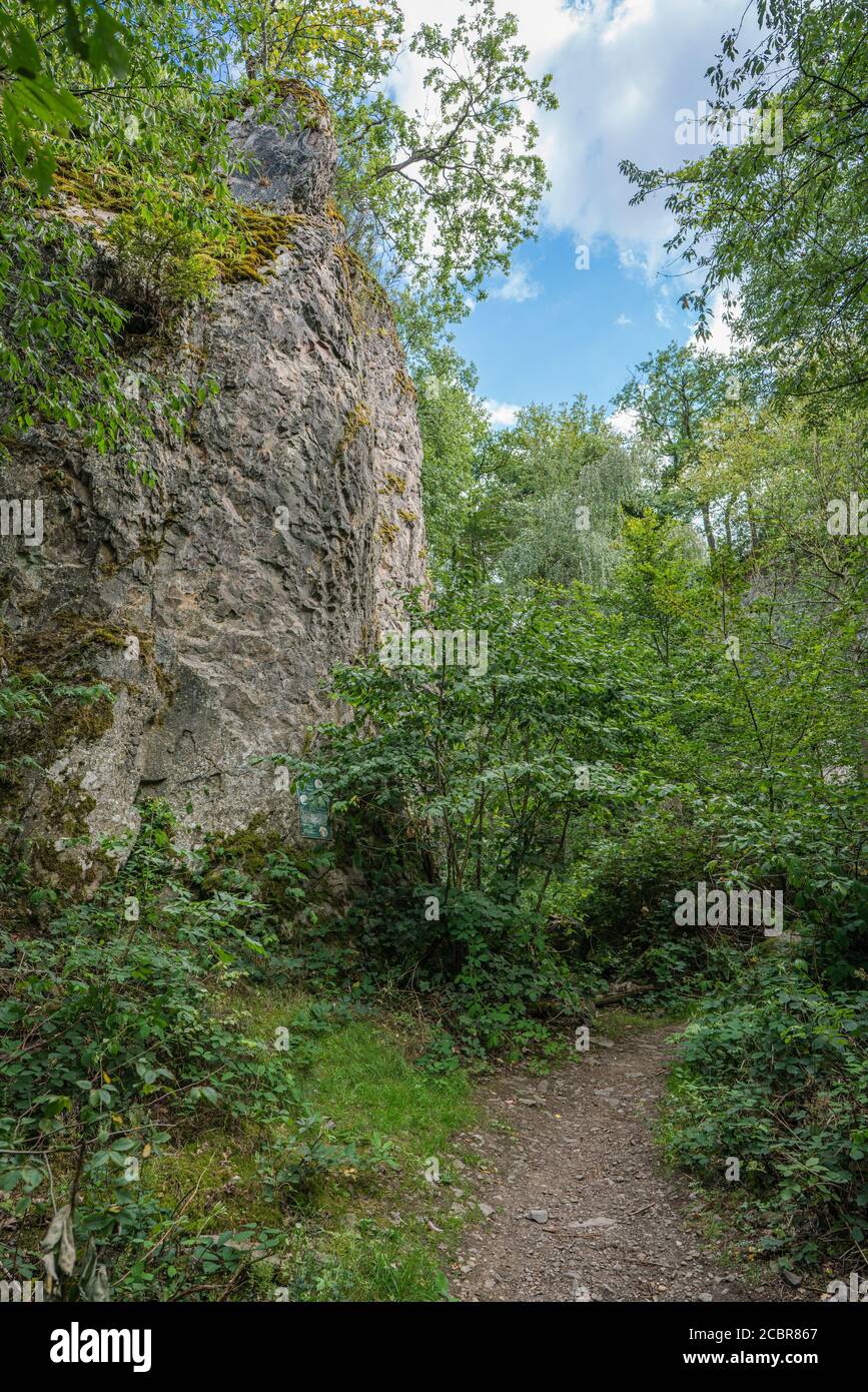 Chemin le long d'un mur de roche du Stenzelberg en juillet. Banque D'Images