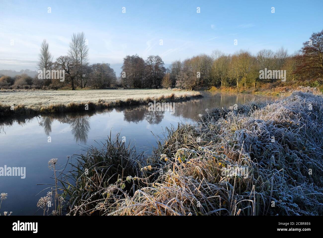 Brume et gel matinaux sur la rivière Wey, Surrey, le matin d'un hiver froid Banque D'Images