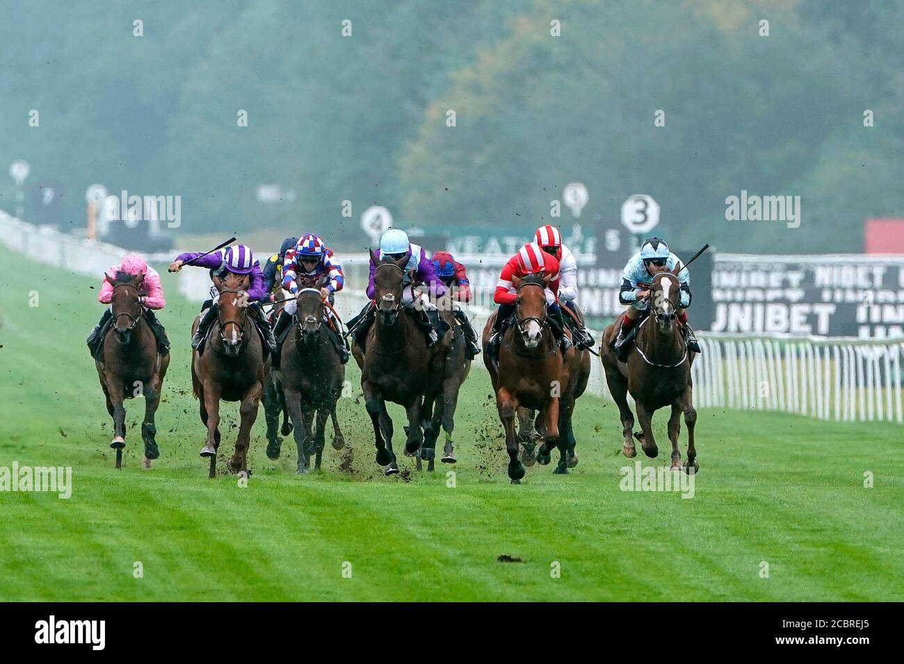 Sans alcool, Oisin Murphy (au centre) remporte les enjeux Novice d'Unibet Fillies à l'hippodrome de Newbury. Banque D'Images