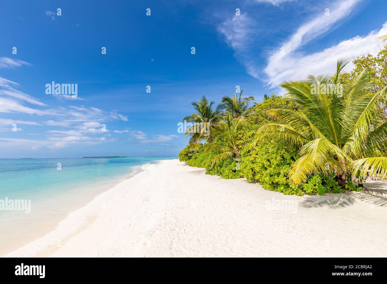 Vue panoramique sur la plage tropicale, paysage d'été, palmiers et sable blanc, horizon de mer calme pour bannière de plage. Détendez-vous nature de la plage, vacances Banque D'Images