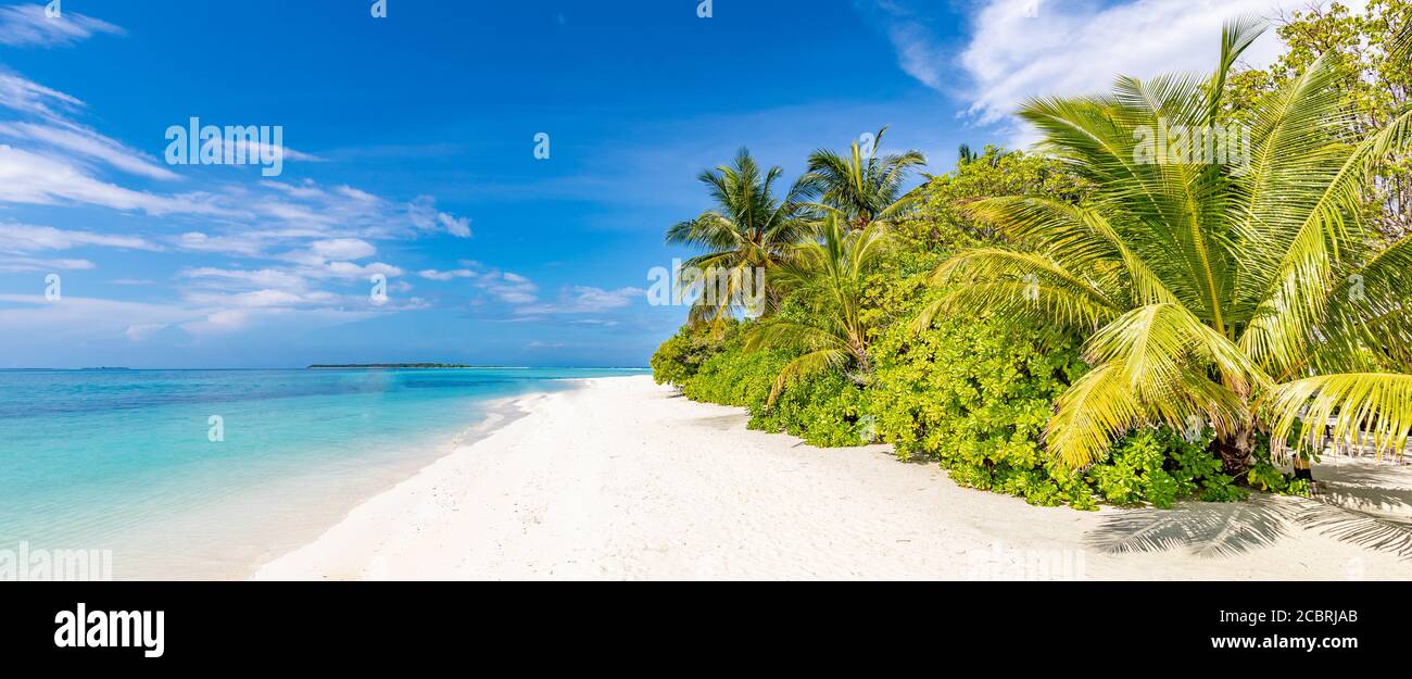 Vue panoramique sur la plage tropicale, paysage d'été, palmiers et sable blanc, horizon de mer calme pour bannière de plage. Détendez-vous nature de la plage, vacances Banque D'Images