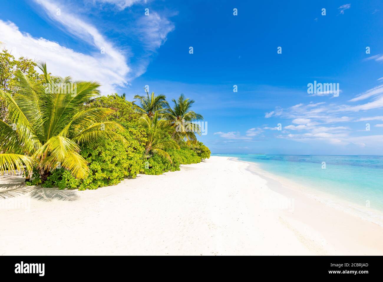 Vue panoramique sur la plage tropicale, paysage d'été, palmiers et sable blanc, horizon de mer calme pour bannière de plage. Détendez-vous nature de la plage, vacances Banque D'Images