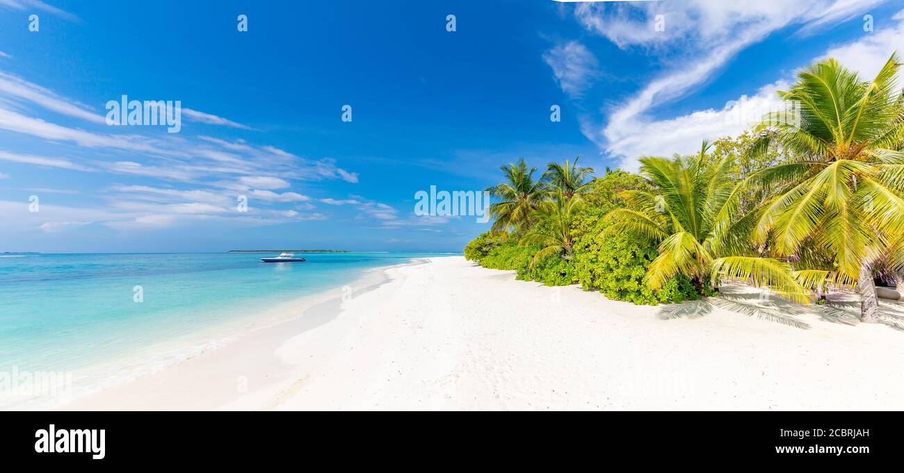 Vue panoramique sur la plage tropicale, paysage d'été, palmiers et sable blanc, horizon de mer calme pour bannière de plage. Détendez-vous nature de la plage, vacances Banque D'Images