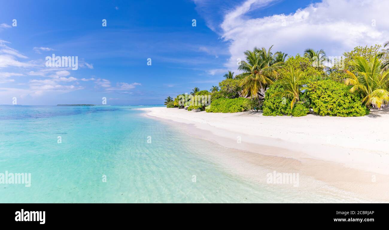 Vue panoramique sur la plage tropicale, paysage d'été, palmiers et sable blanc, horizon de mer calme pour bannière de plage. Détendez-vous nature de la plage, vacances Banque D'Images