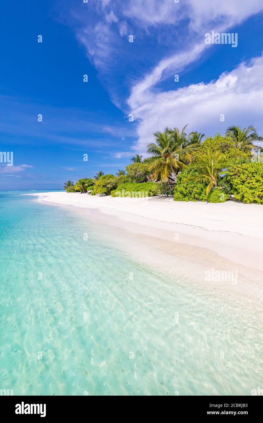 Vue panoramique sur la plage tropicale, paysage d'été, palmiers et sable blanc, horizon de mer calme pour bannière de plage. Détendez-vous nature de la plage, vacances Banque D'Images