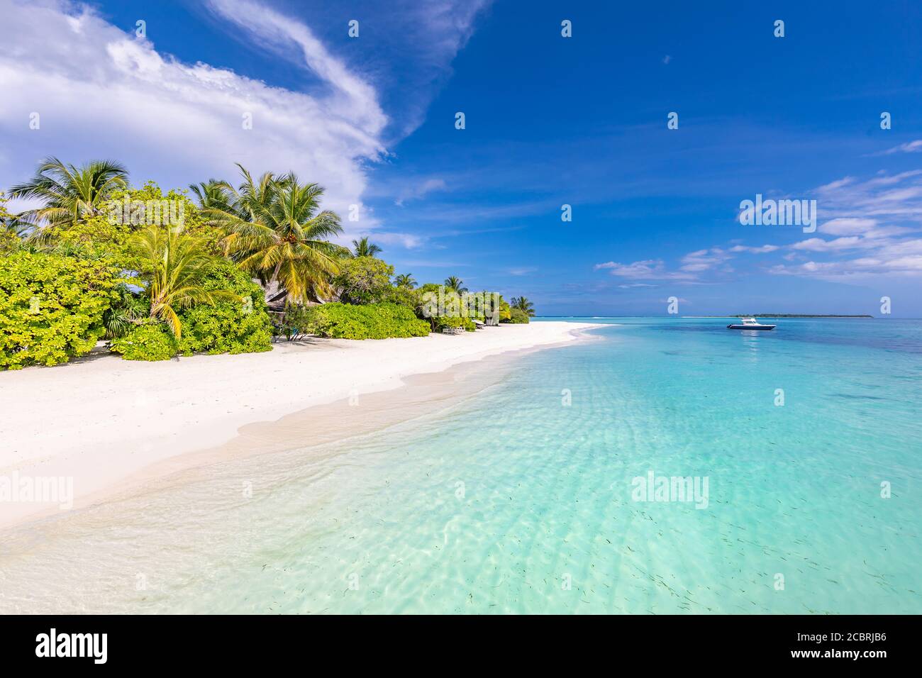 Vue panoramique sur la plage tropicale, paysage d'été, palmiers et sable blanc, horizon de mer calme pour bannière de plage. Détendez-vous nature de la plage, vacances Banque D'Images