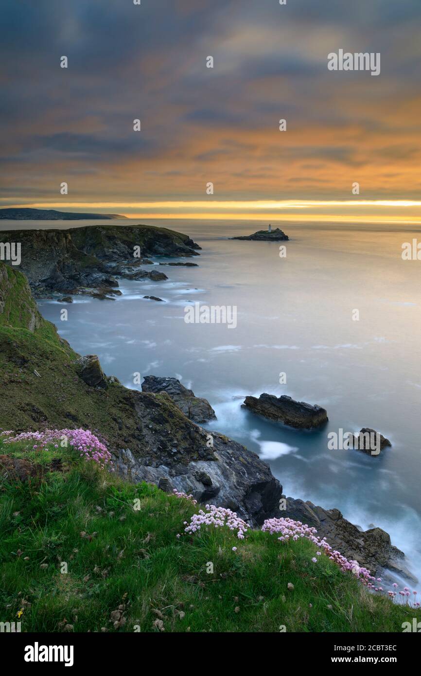 Le printemps fleurit sur le sommet de la falaise près de Navax point sur la côte nord de Cornwall avec un coucher de soleil sur le phare de Godrevy au loin. Banque D'Images