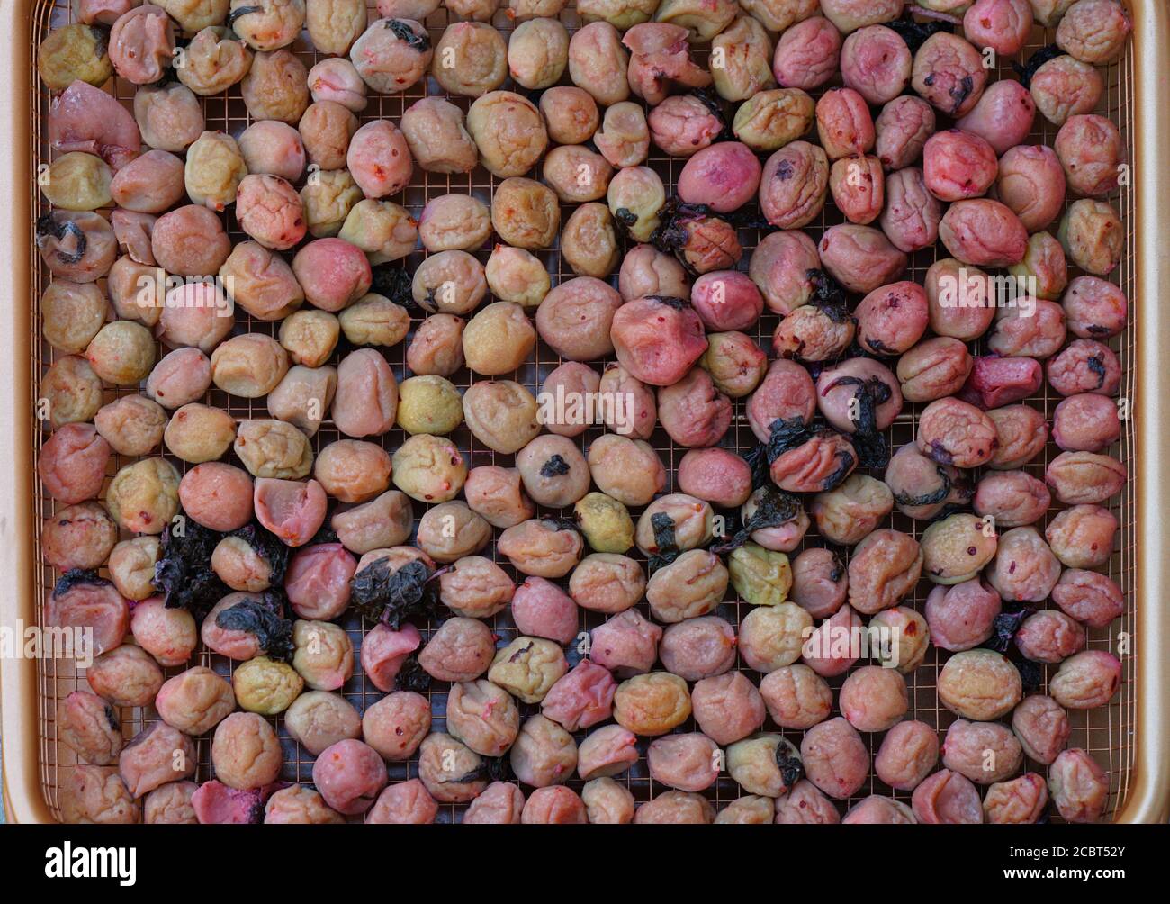 Pruneaux marinés à l'umeboshi rose avec shiso faits maison en été Banque D'Images