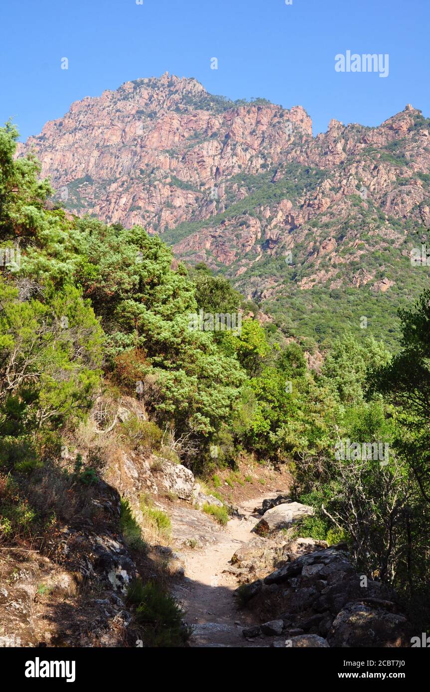 Sentier de randonnée gorges de la Spelunca en Corse-du-Sud Banque D'Images