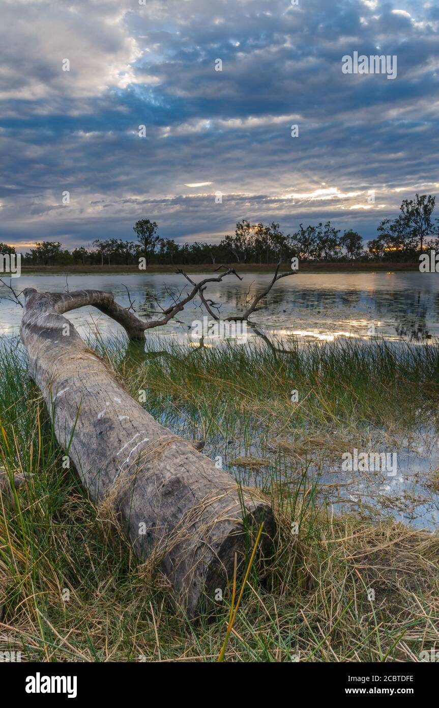 Paysage de lever de soleil pittoresque sur un habitat de lagune de zone humide vierge emblématique dans le pays du Golfe, à l'extrême nord du Queensland, en Australie. Banque D'Images