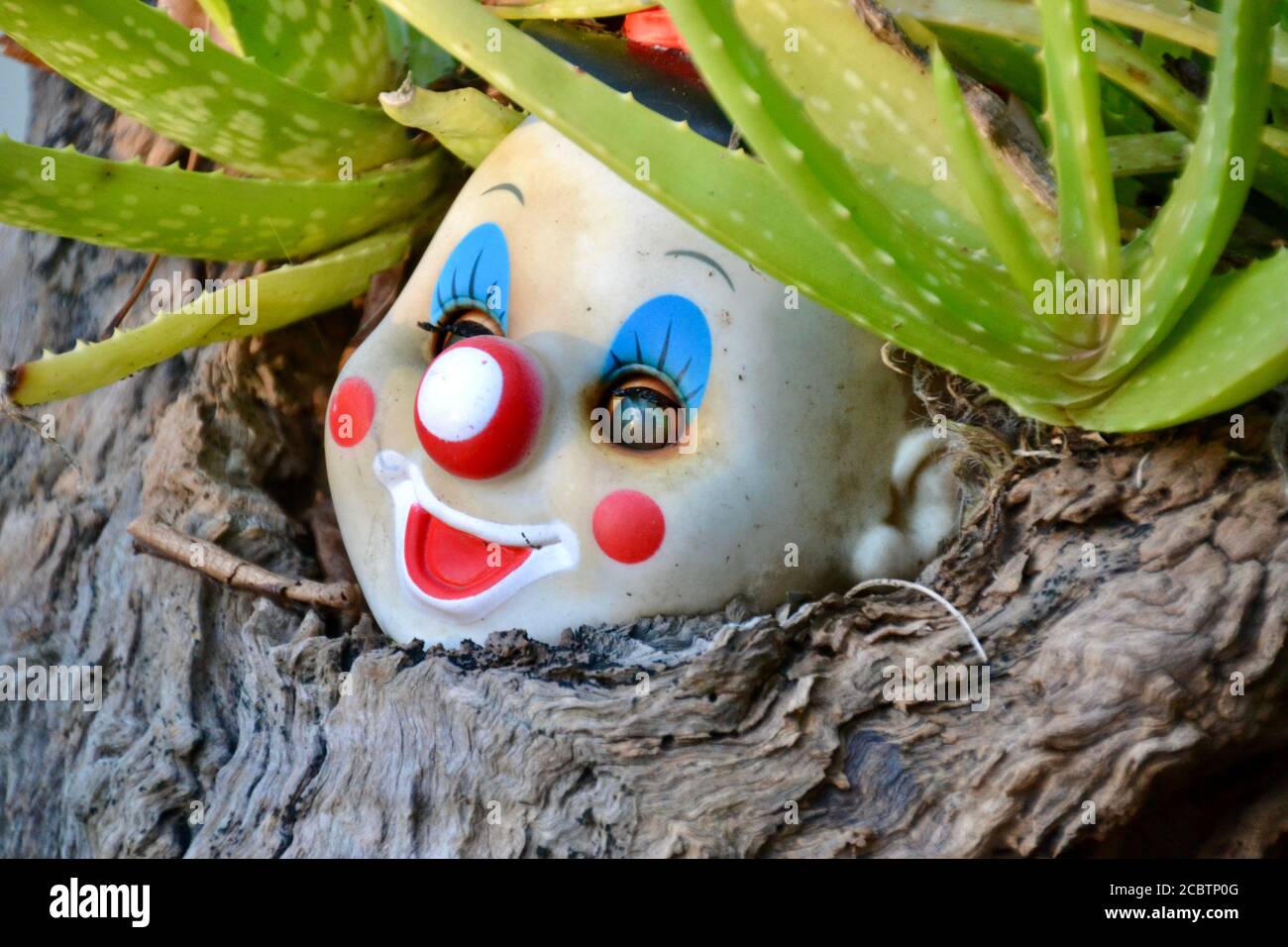 Tête de clown créepy d'une poupée cassée dans le jardin avec des yeux ouverts et un rouge à lèvres blanc Banque D'Images