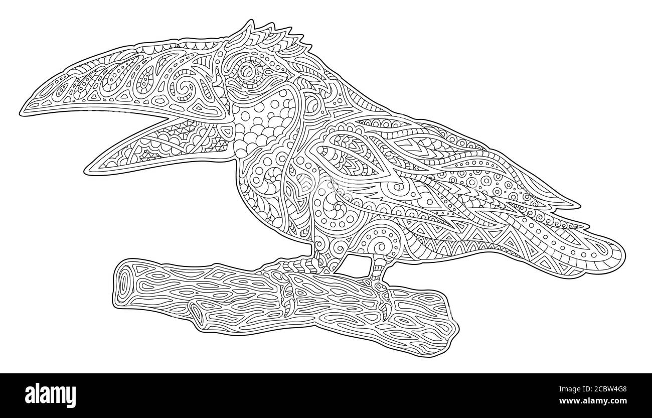 Beau livre de coloriage pour adultes avec toucan stylisé sur blanc arrière-plan Illustration de Vecteur