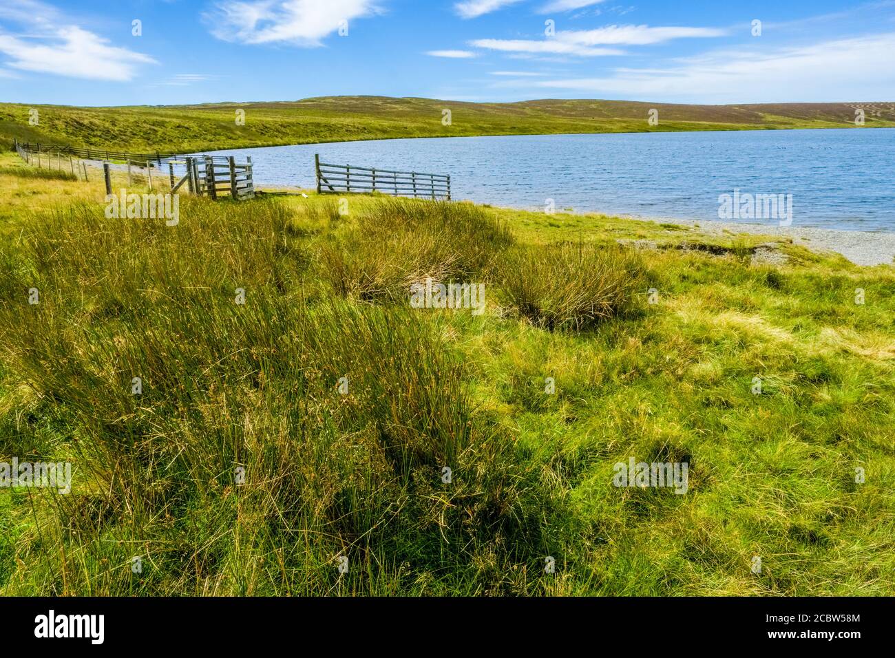 Glaslyn un petit lac de montagne dans le milieu du pays de Galles partie de Une réserve naturelle de la Fiducie de la faune du Montgomeryshire Banque D'Images