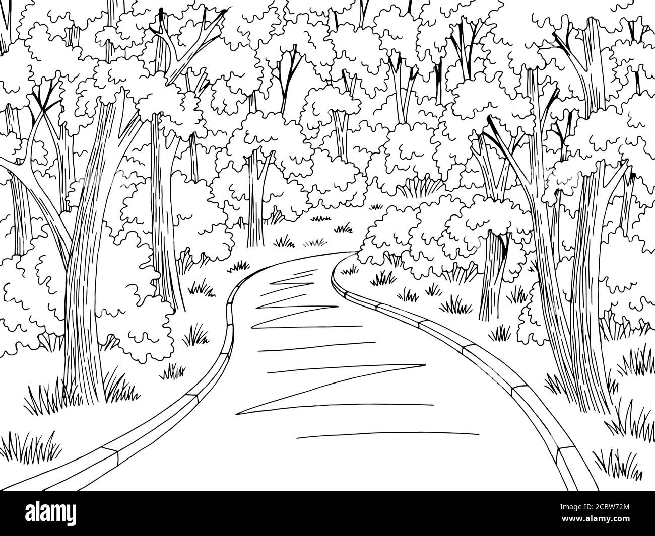 Foret Route Graphique Noir Blanc Paysage Dessin Vecteur D Illustration Image Vectorielle Stock Alamy