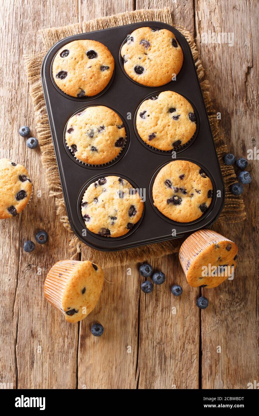 Faites des muffins aux baies avec des myrtilles dans un plat de cuisson sur la table. Vue verticale du dessus Banque D'Images