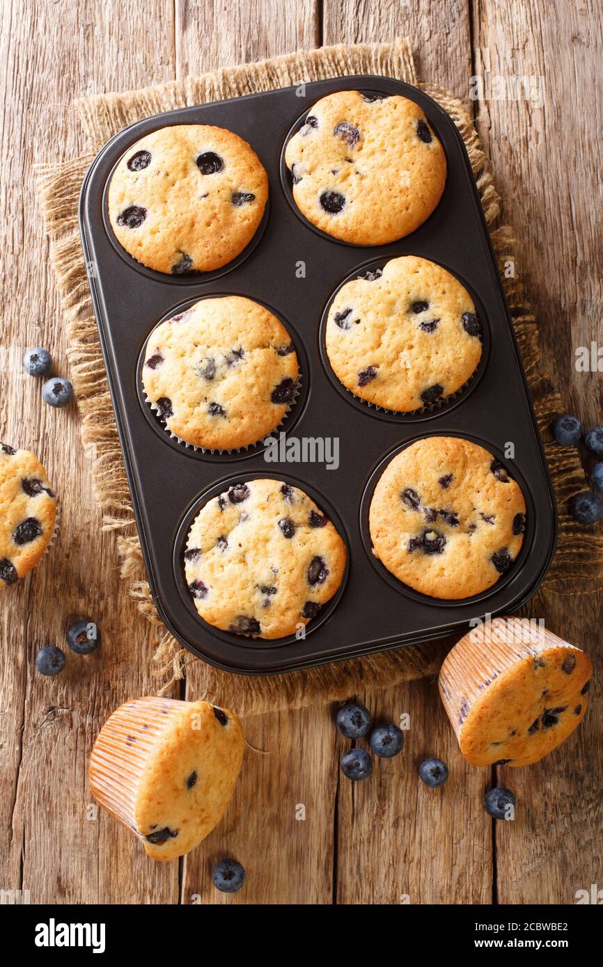 Délicieux muffins aux myrtilles dans un plat de cuisson sur la table. Vue verticale du dessus Banque D'Images