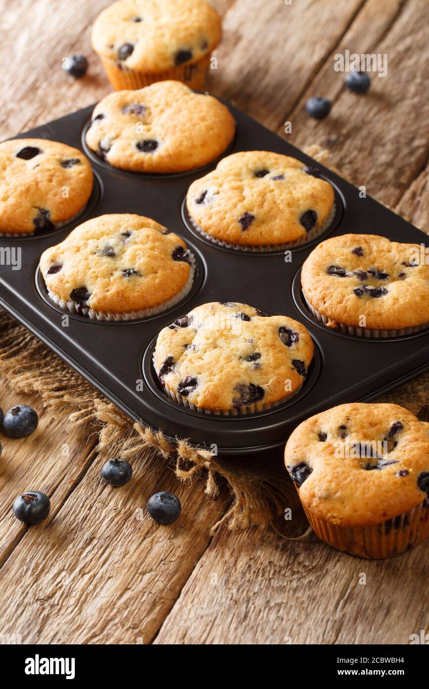 Dans un plat de cuisson sur la table, préparer des muffins aux baies avec des bleuets en gros plan Banque D'Images