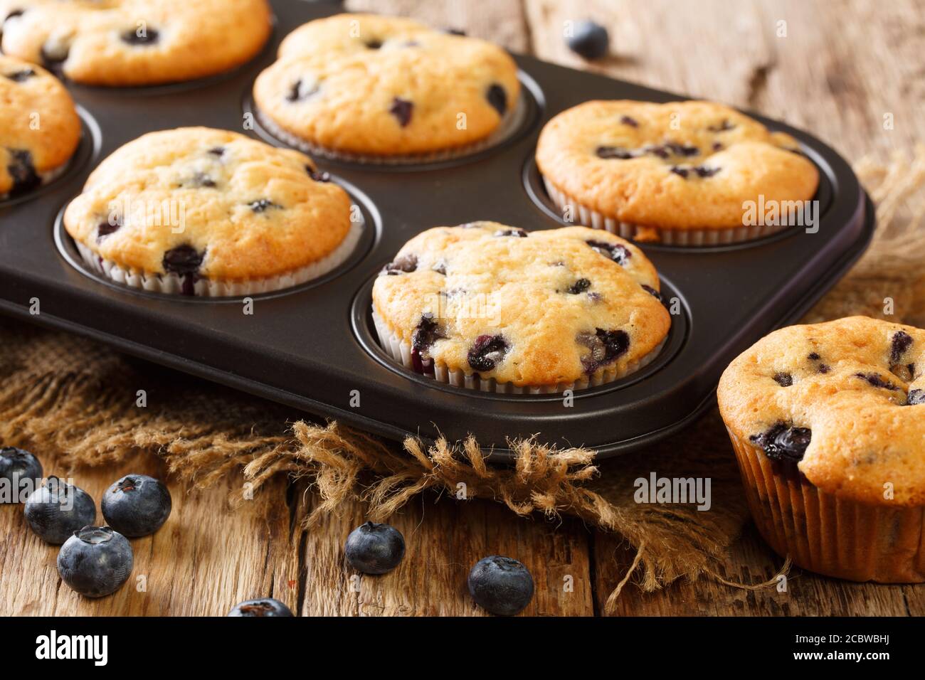 Seulement à partir des muffins au four avec des bleuets gros plan dans un plat de cuisson sur la table. Horizontale Banque D'Images
