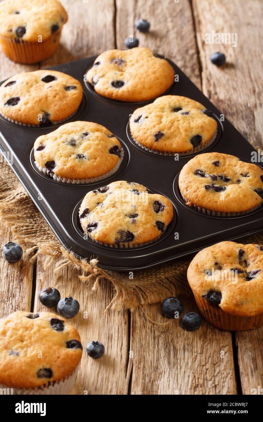 Délicieux muffins aux myrtilles dans un plat de cuisson sur la table. Vertical Banque D'Images
