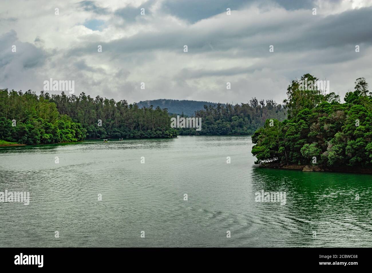 lac vierge avec réflexion de l'eau de la forêt le matin image est prise au sud de l'inde. il montre le magnifique paysage du sud de l'inde. Banque D'Images