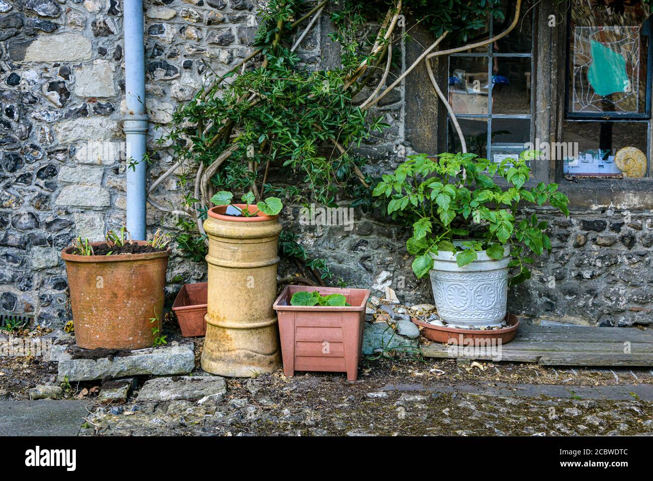 Un assortiment de pots de fleurs plantés contre un mur de silex Banque D'Images