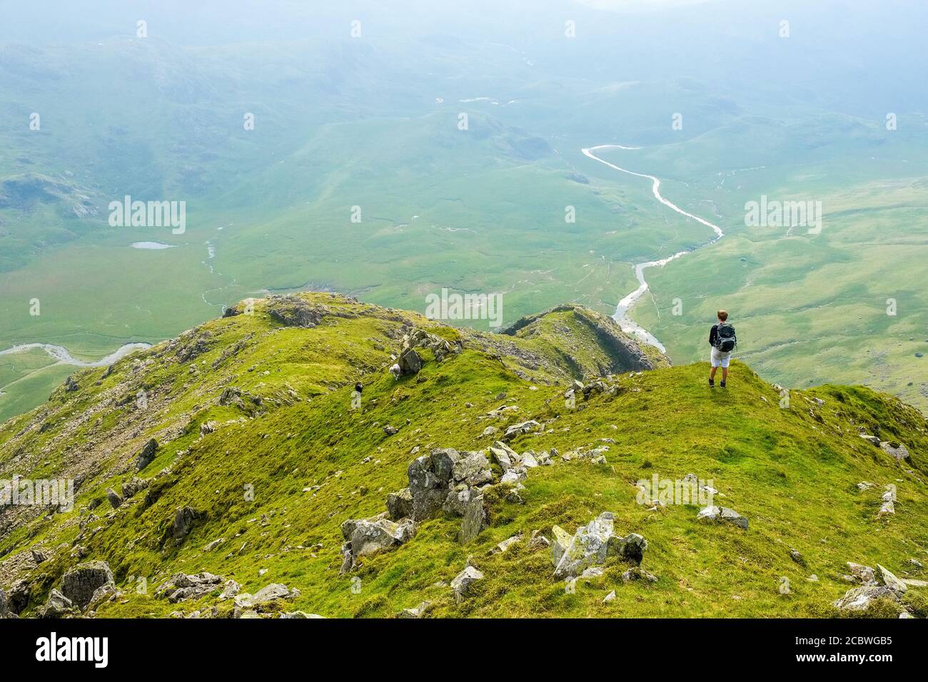 Un adolescent est tombé marcher sur Scafell au-dessus de l'Esk supérieur Vallée dans le parc national de Lake District Banque D'Images