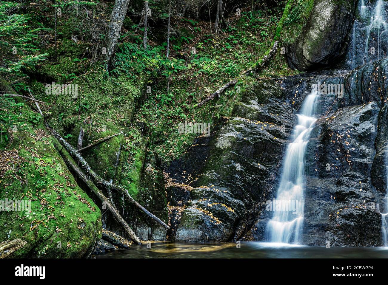 Moss Glen Falls, Granville, Vermont, USA. Banque D'Images