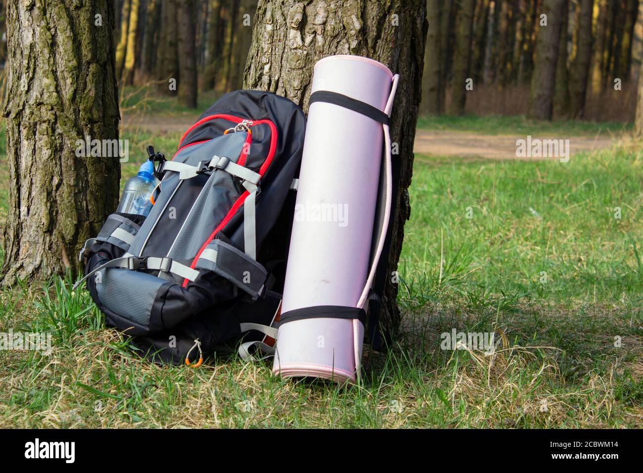 Trekking sac à dos lourd dans la forêt avec des bocaux verts d'eau. Banque D'Images