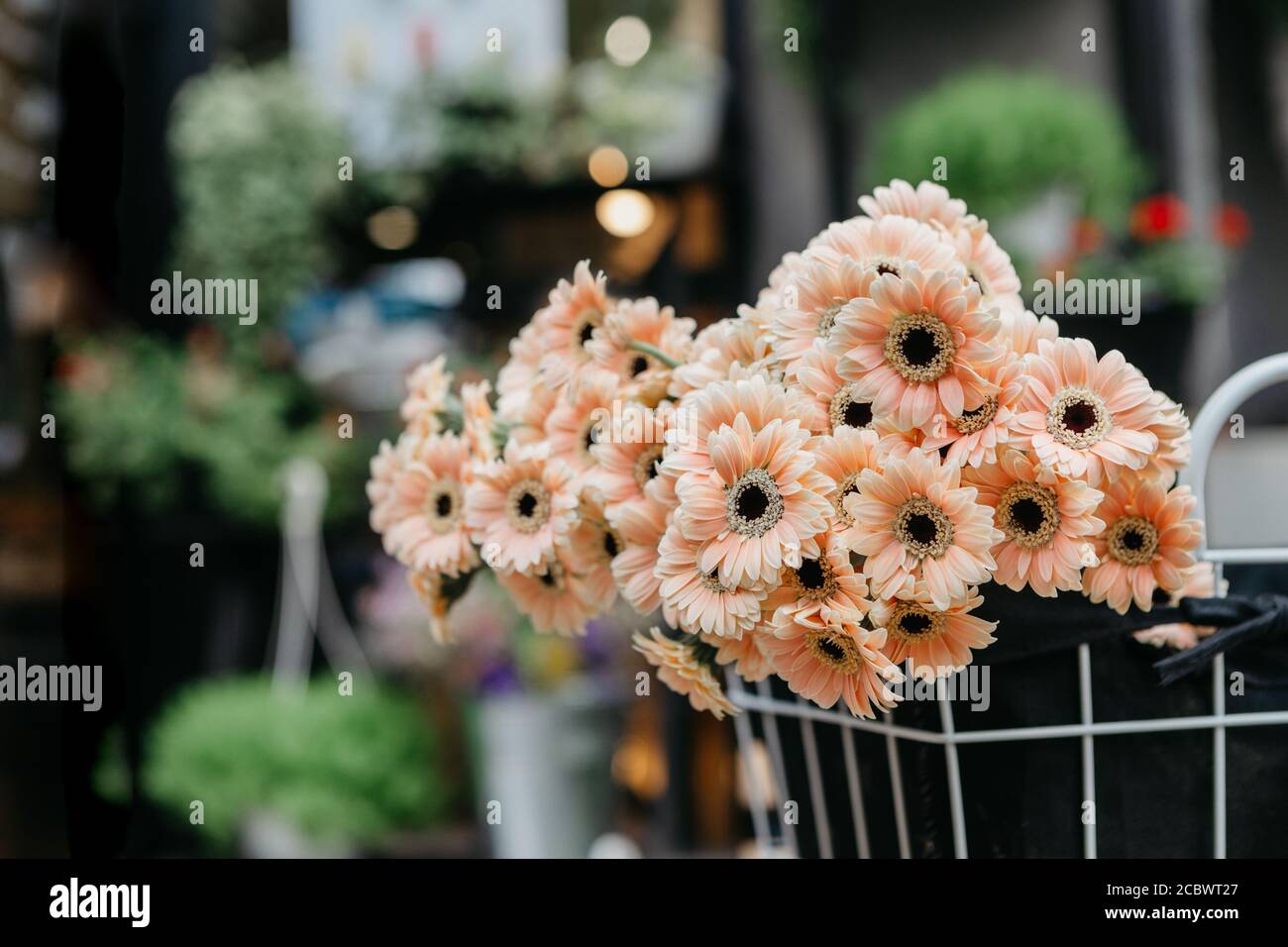 Studio à motif fleuri. Pâquerettes beiges dans le panier en magasin Banque D'Images