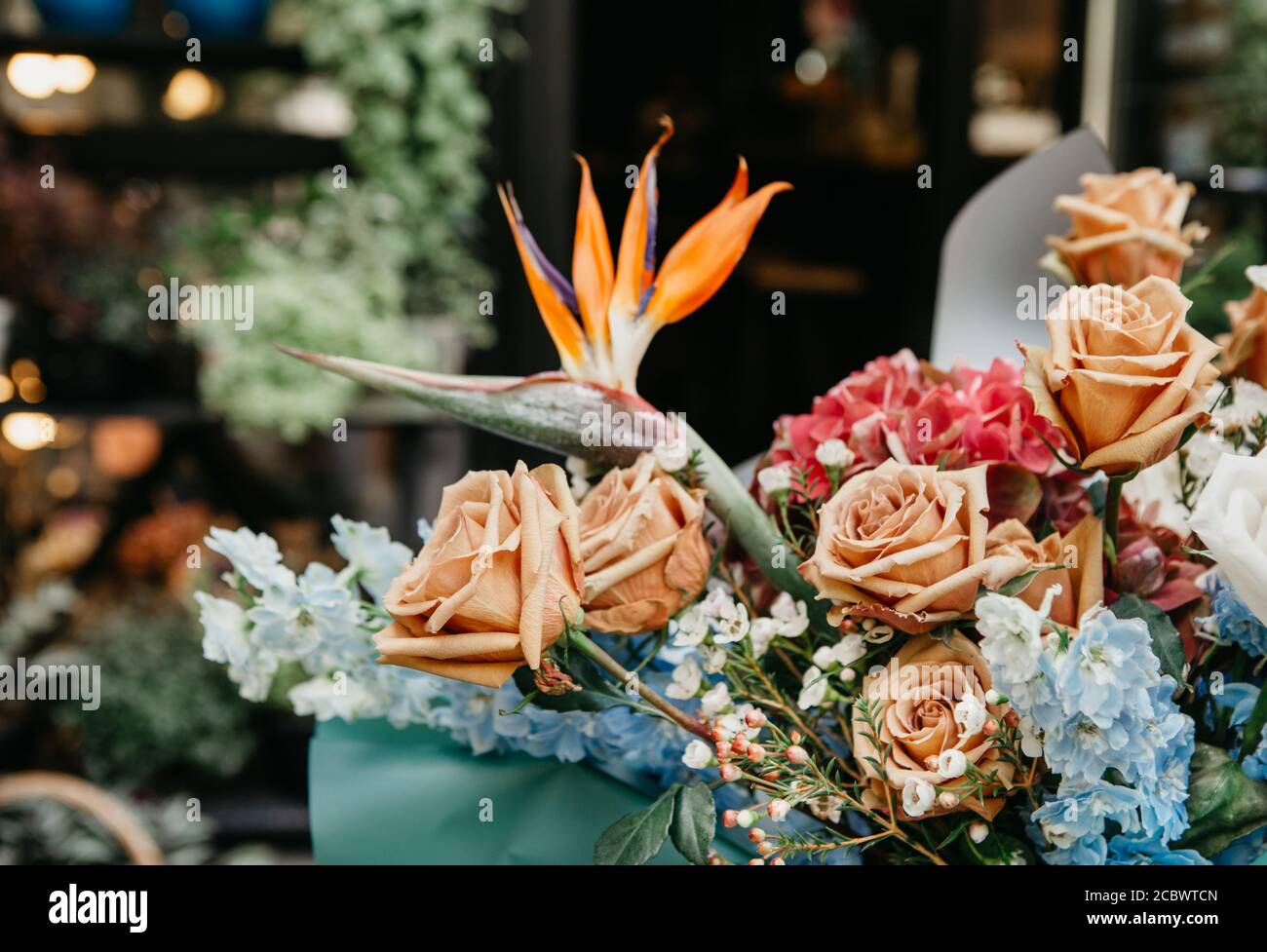 Beau bouquet de boho de différentes couleurs de plantes et de roses de crème dans un fleuriste Banque D'Images