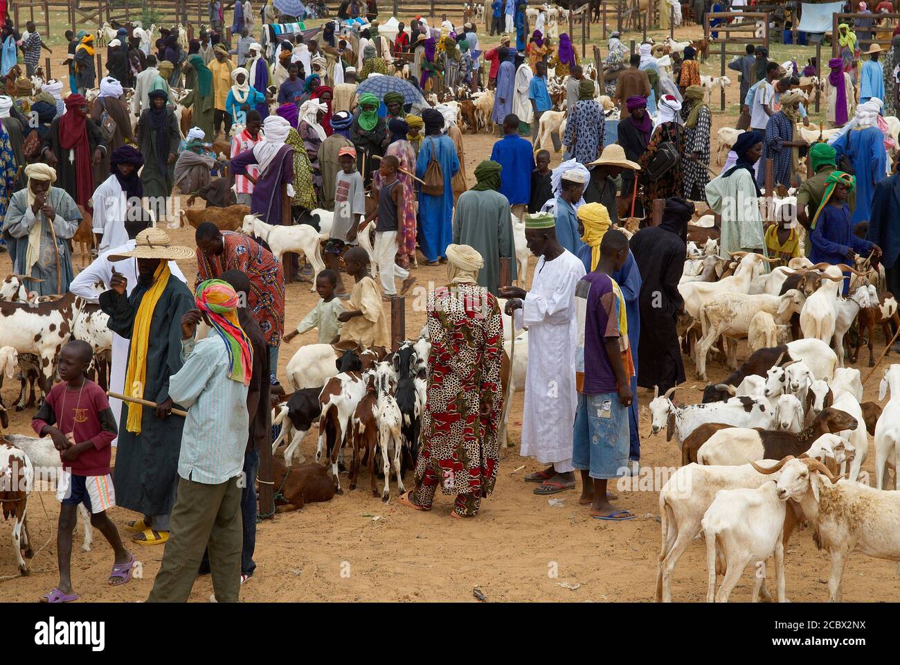 Niger. Marché du dimanche à Ayorou sur la rive du Niger. Marché du bétail. Banque D'Images